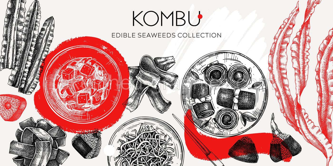 Hand-drawn Kombu banner design. Edible seaweed drawings in collage style. Sea vegetable illustrations. Healthy food vector background. Japanese cuisine. Trendy restaurant menu design. Illustration